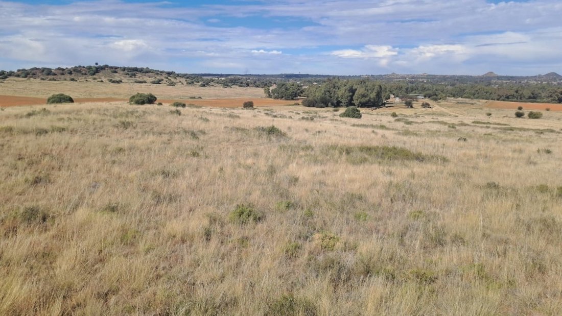 Farm Ranch in Bloemfontein, Free State, South Africa 4 - 18320305