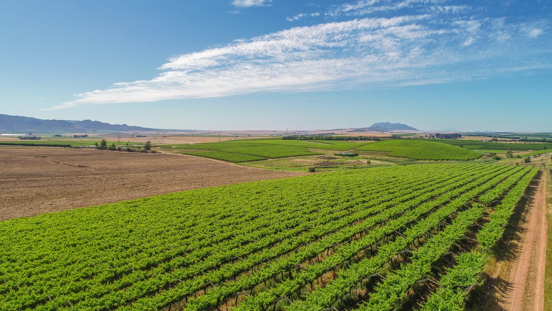 Farm Ranch in Wellington, Western Cape, South Africa 3 - 18320300