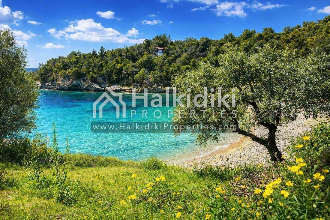 Land in Aristotle, Macedonia and Thrace, Greece 1 - 16609609