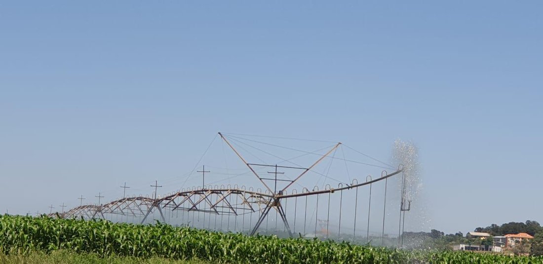 Farm Ranch in Pretoria, Gauteng, South Africa 2 - 14466481