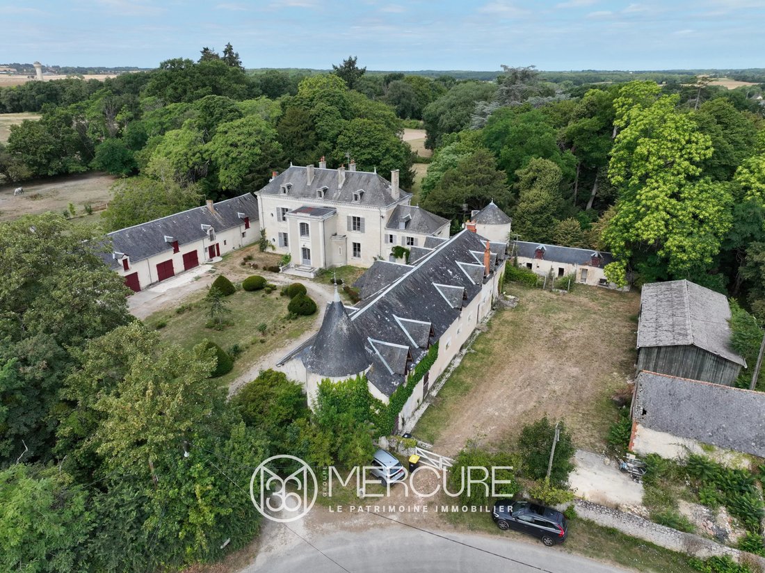 Estate in Le Blanc, Centre-Val de Loire, France 1 - 18319736