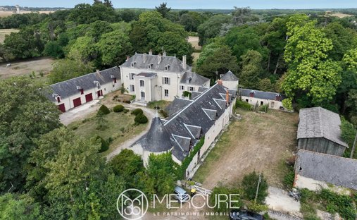 Estate in Le Blanc, Centre-Val de Loire, France 1