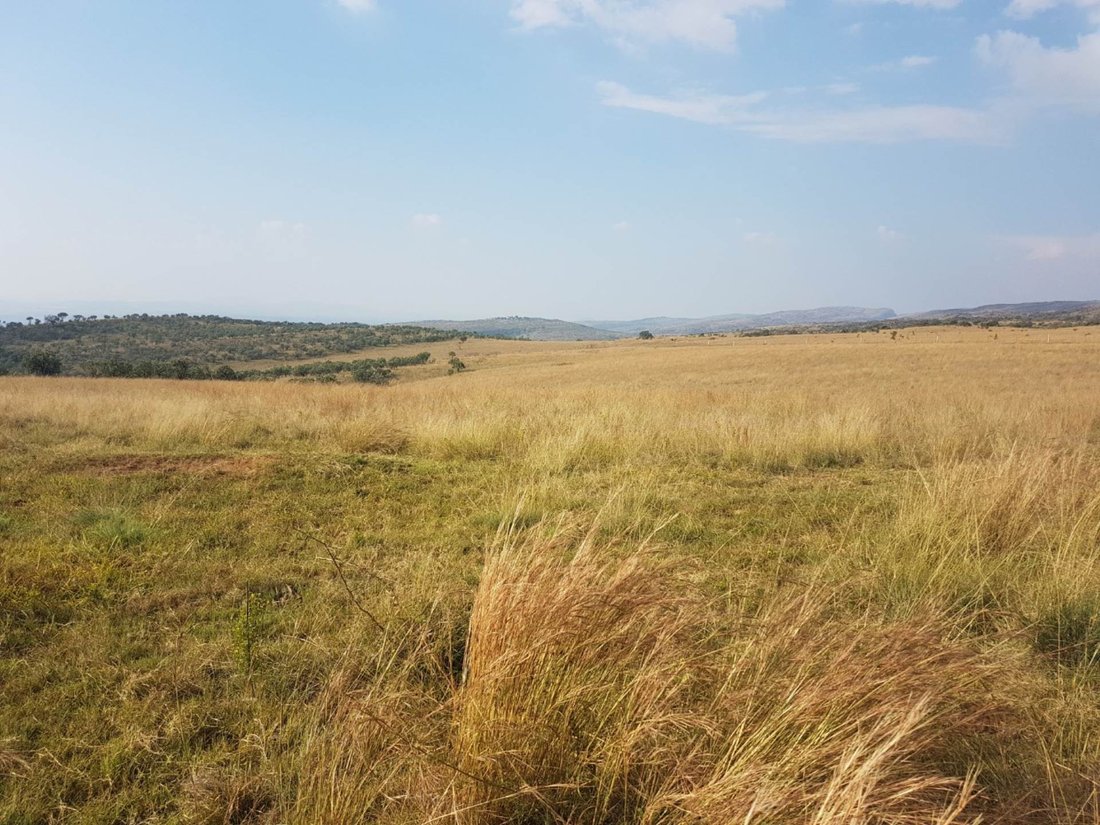Farm Ranch in Rustenburg, North West, South Africa 1 - 14585806