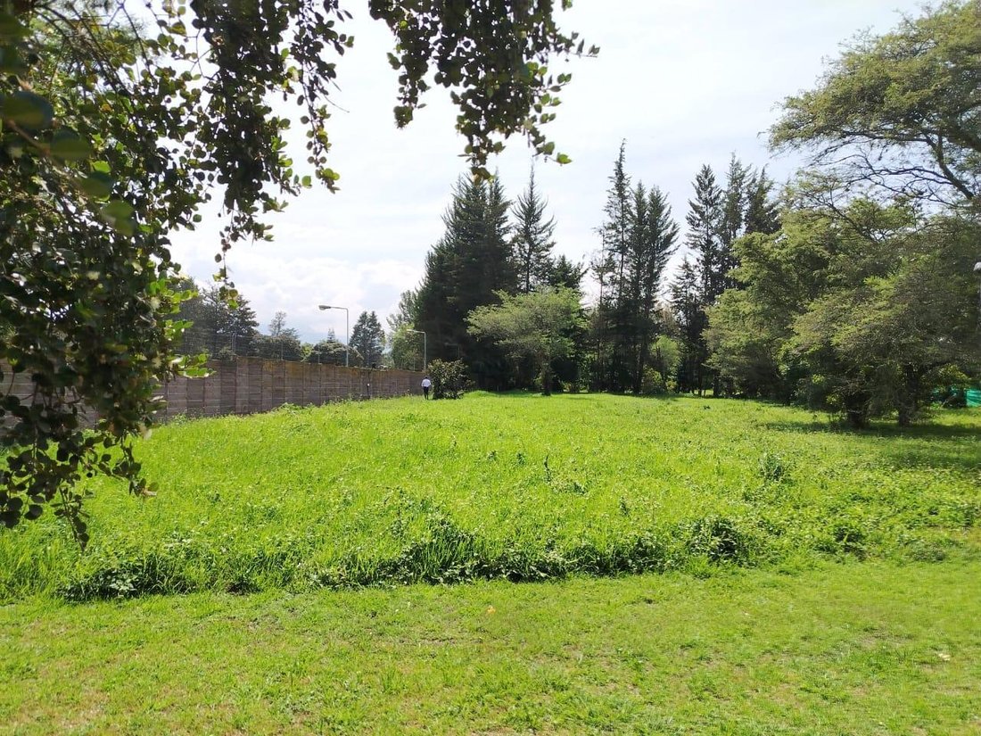 Land in Quito, Pichincha, Ecuador 5 - 18323371