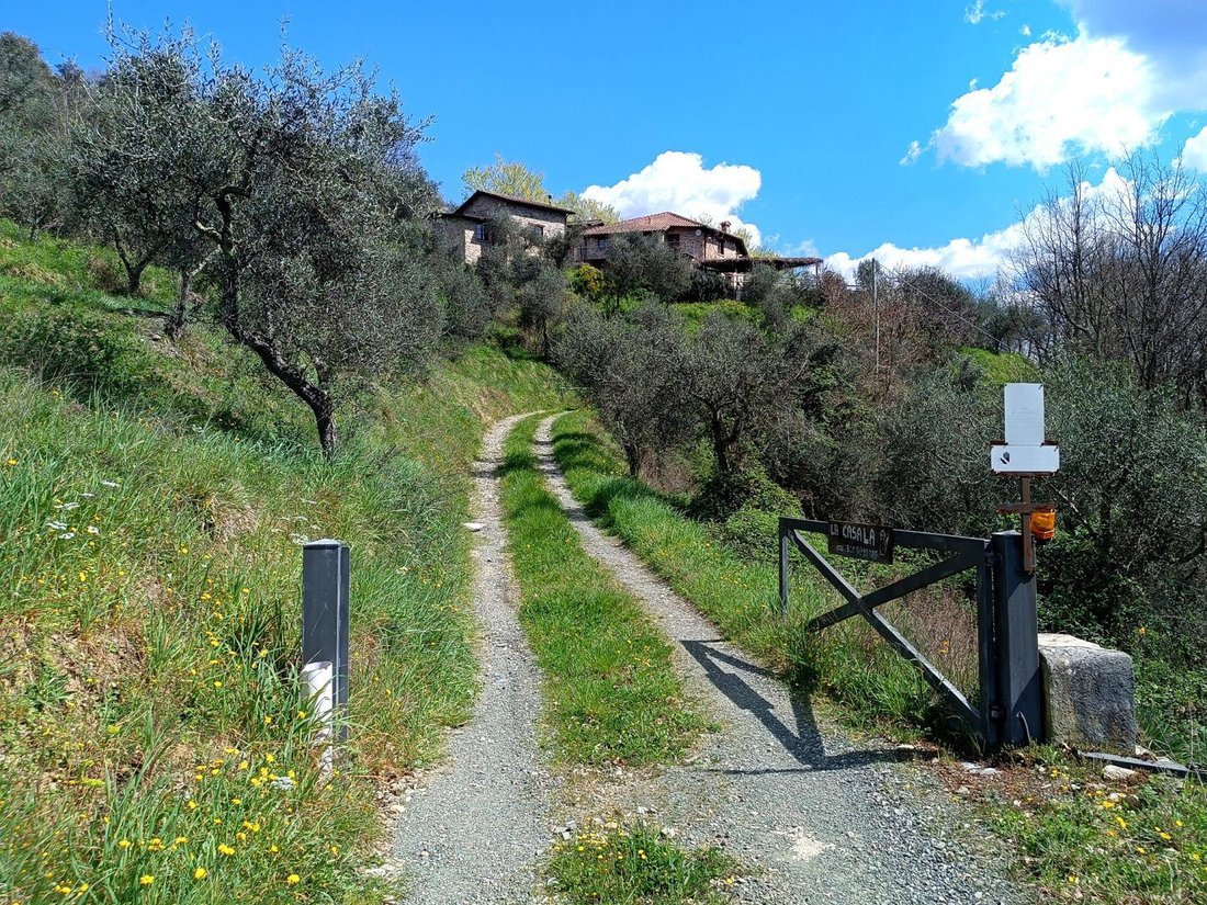 Farm Ranch in Fivizzano, Tuscany, Italy 3 - 18320894