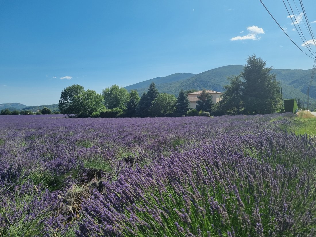 House in Centre Ville - La Baume - Le Gand, Sisteron, France 2 - 18321908