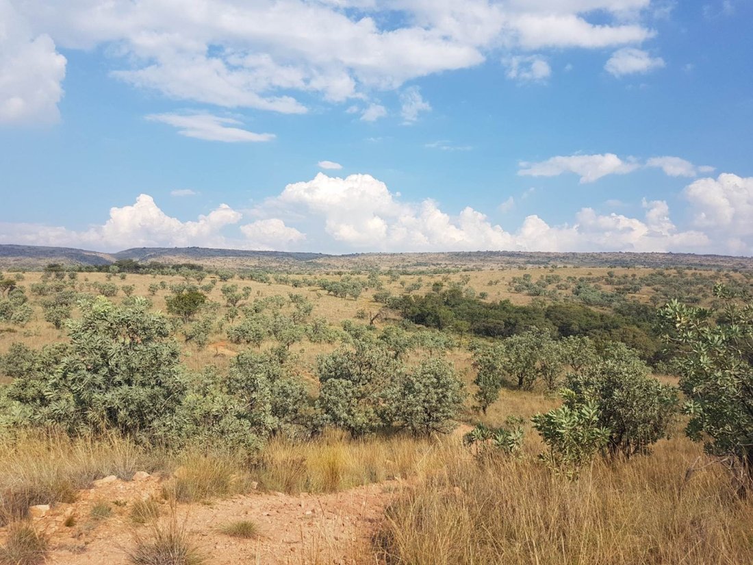 Farm Ranch in Rustenburg, North West, South Africa 3 - 14585806