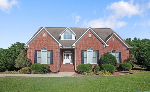 House in Hokes Bluff, Alabama, United States 1