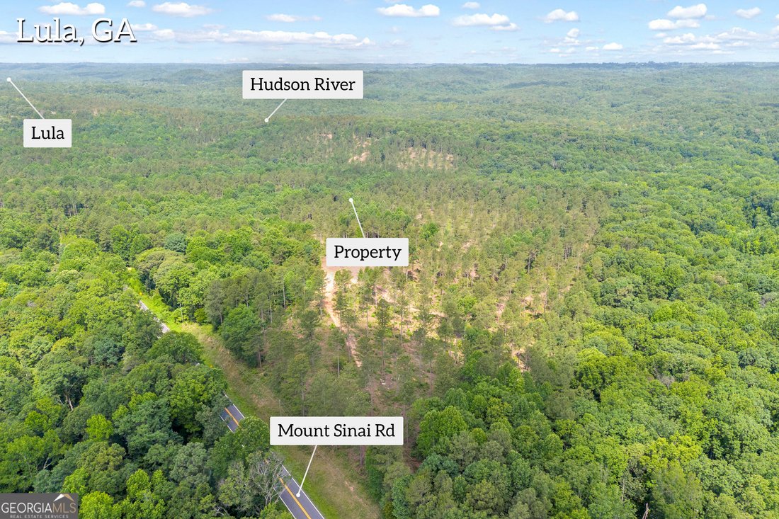 Land in Lula, Georgia, United States 5 - 18319088