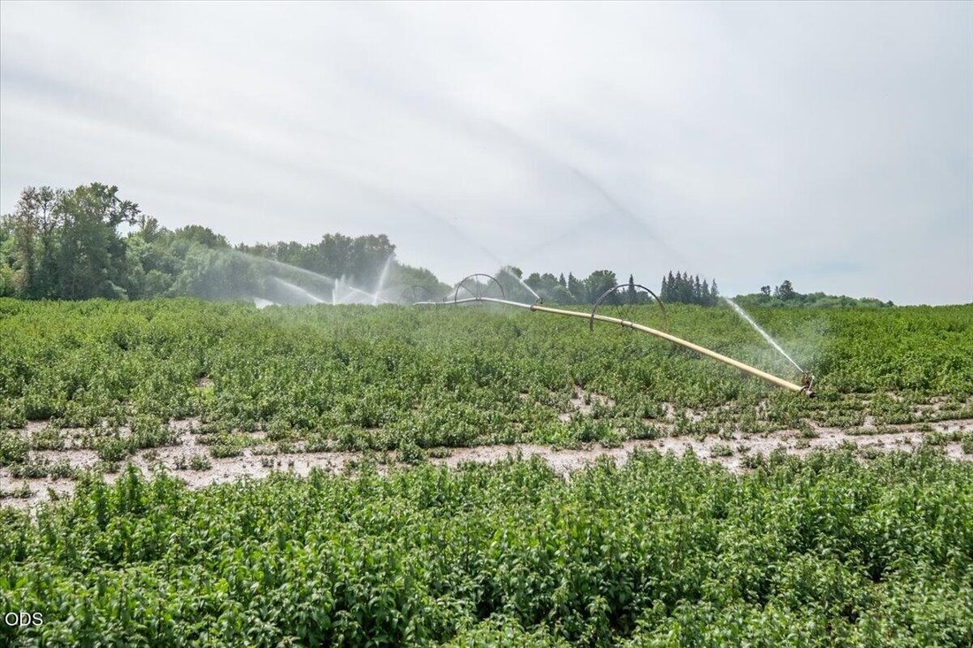 Azienda agricola a Albany, Oregon, Stati Uniti 5 - 18322354