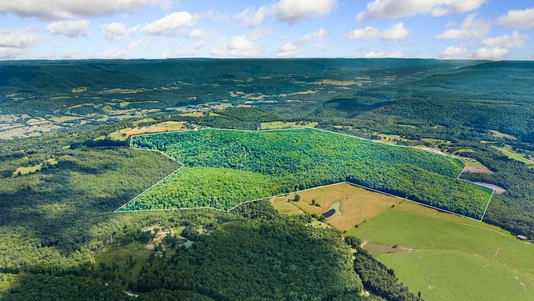 Land in Pikeville, Tennessee, United States 1 - 18317899