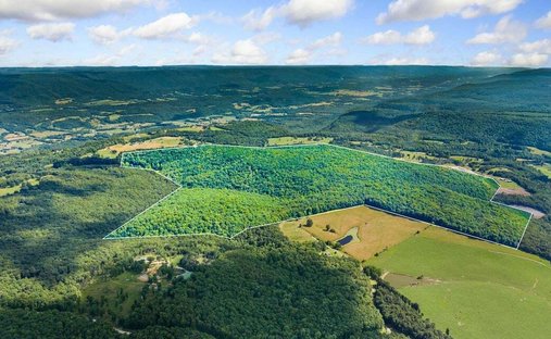 Land in Pikeville, Tennessee, United States 1