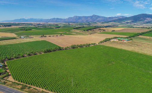 Farm Ranch in Wellington, Western Cape, South Africa 1