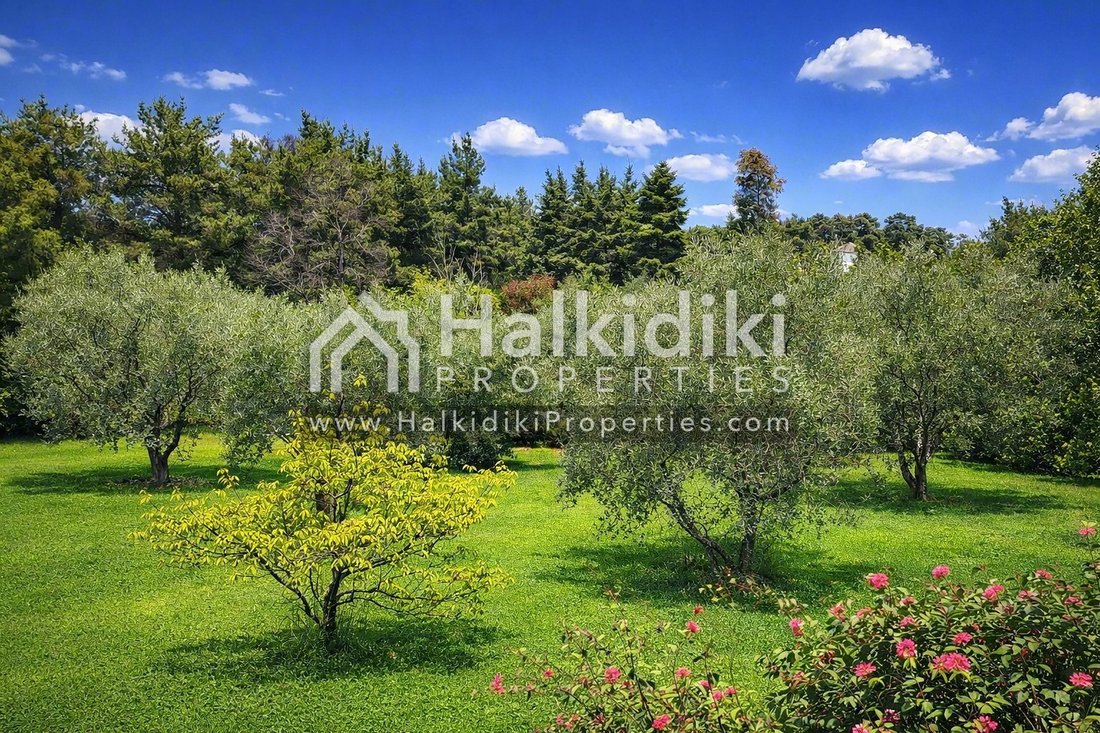 House in Kassandra, Macedonia and Thrace, Greece 4 - 17553066