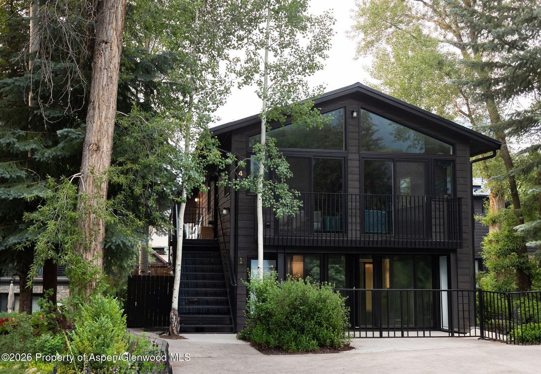Condo in Aspen, Colorado, United States 1 - 18322729