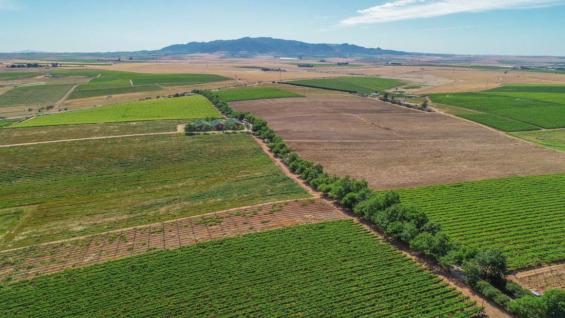 Farm Ranch in Wellington, Western Cape, South Africa 5 - 18320300