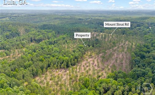 Terrain à Lula, Géorgie, États-Unis 1