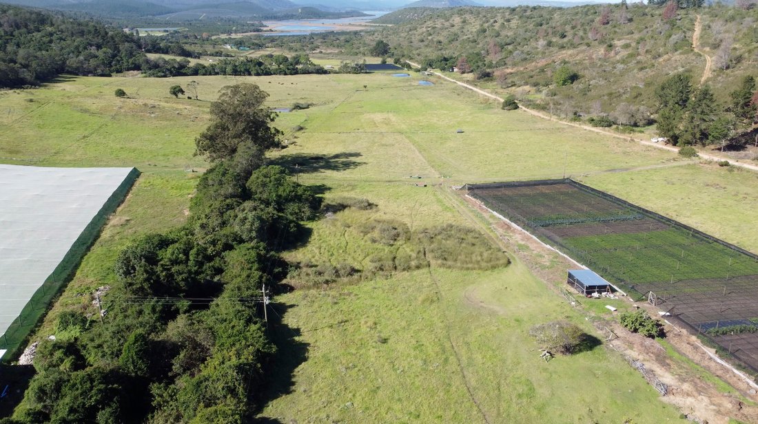 Farm Ranch in George, Western Cape, South Africa 3 - 17949713