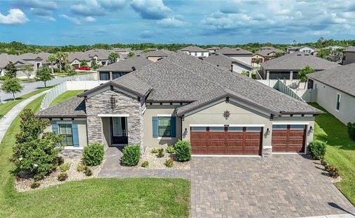 House in Land O' Lakes, Florida, United States 1