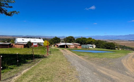 Farm Ranch in Cape Town, Western Cape, South Africa 1
