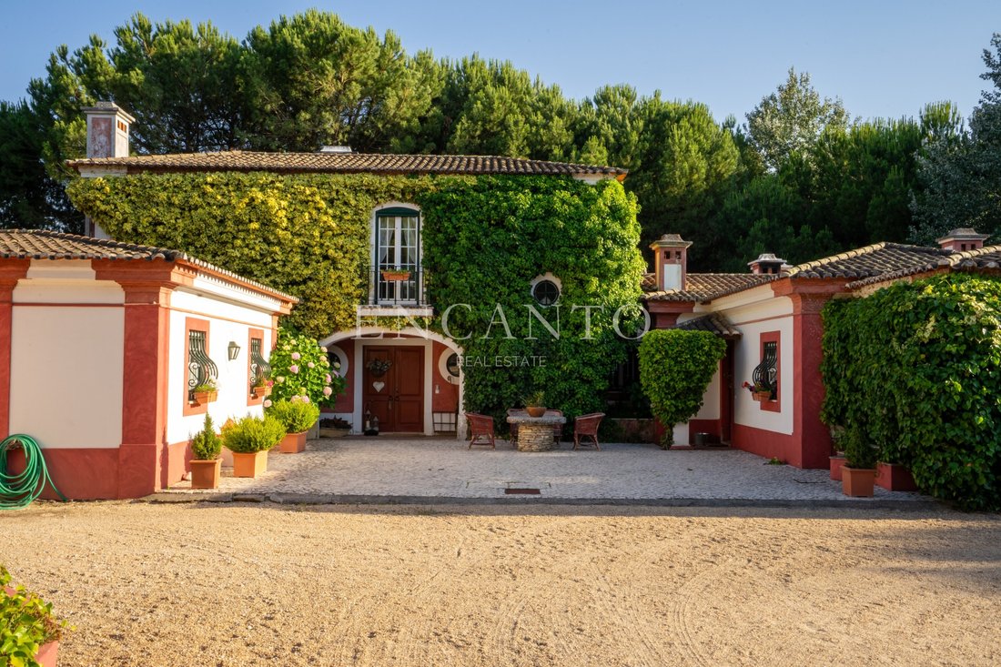 Finca in Santo Estevao, Santarem District, Portugal 1 - 18323073