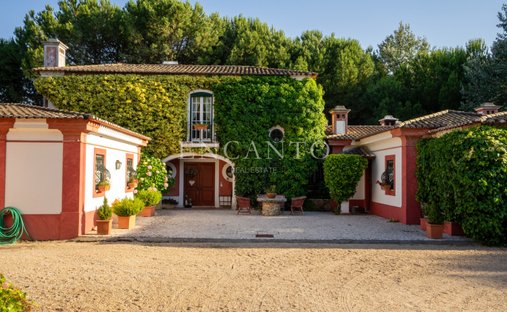 Finca a Santo Estevão, Distretto di Santarém, Portogallo 1
