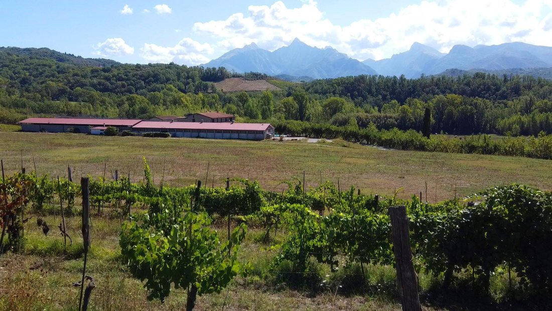Farm Ranch in Fivizzano, Tuscany, Italy 3 - 18320884