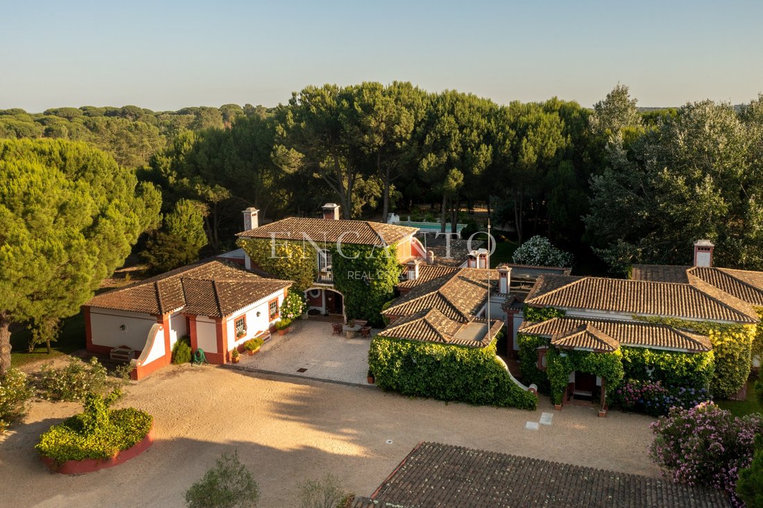 Finca in Santo Estevao, Santarem District, Portugal 2 - 18323073