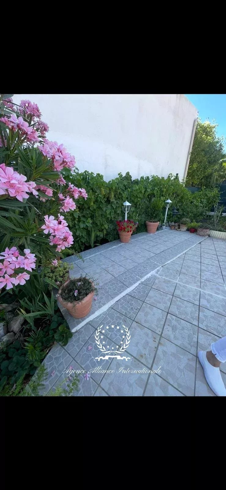 Villa in Tassigny, Cannes, France 5 - 18319864
