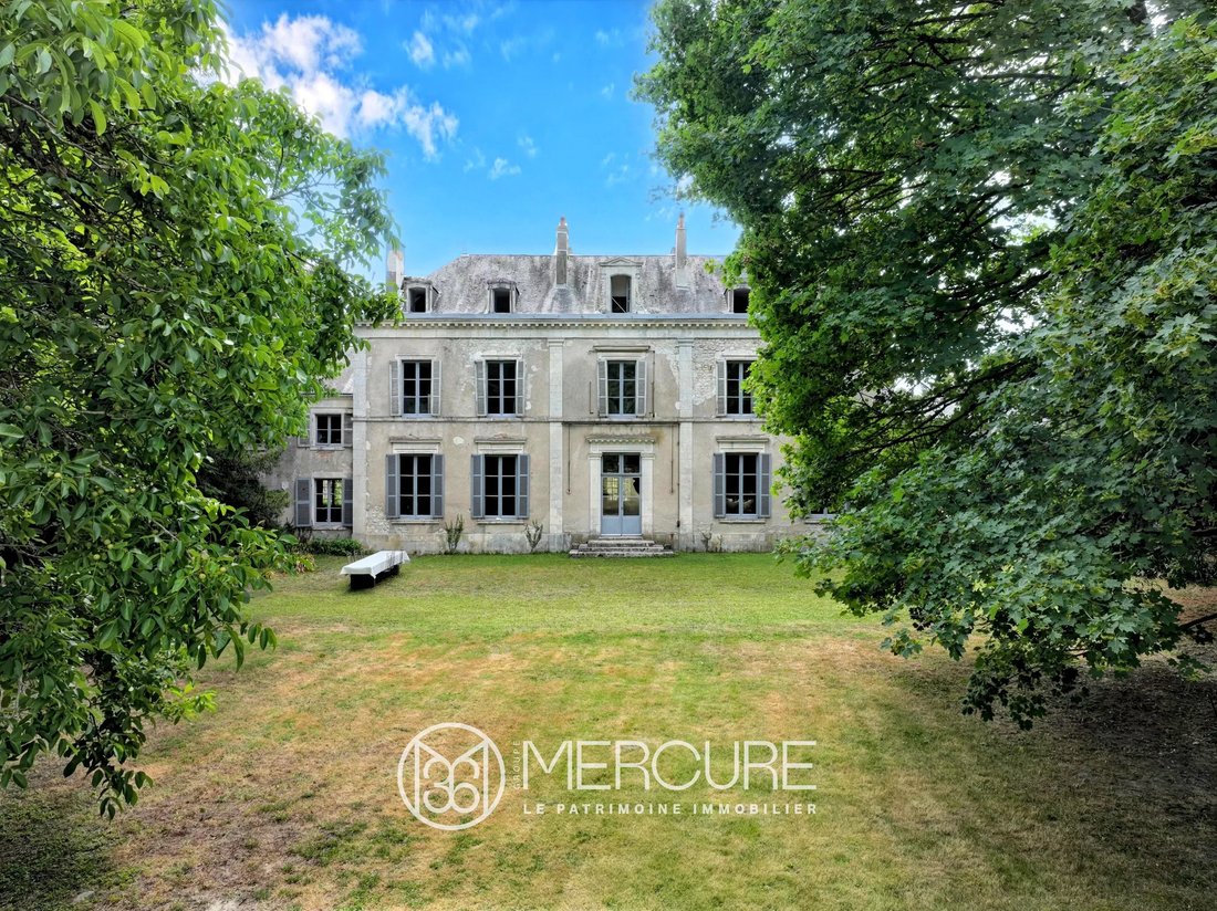 Estate in Le Blanc, Centre-Val de Loire, France 3 - 18319736