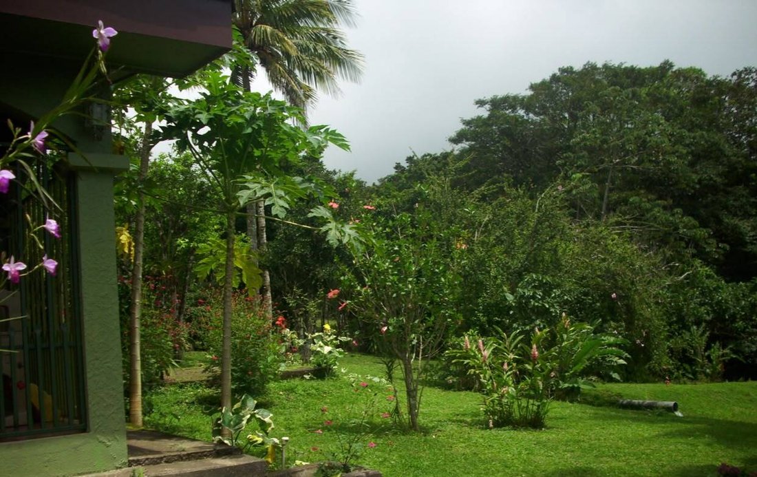 Farm Ranch in Guayabal, Alajuela Province, Costa Rica 2 - 18322343