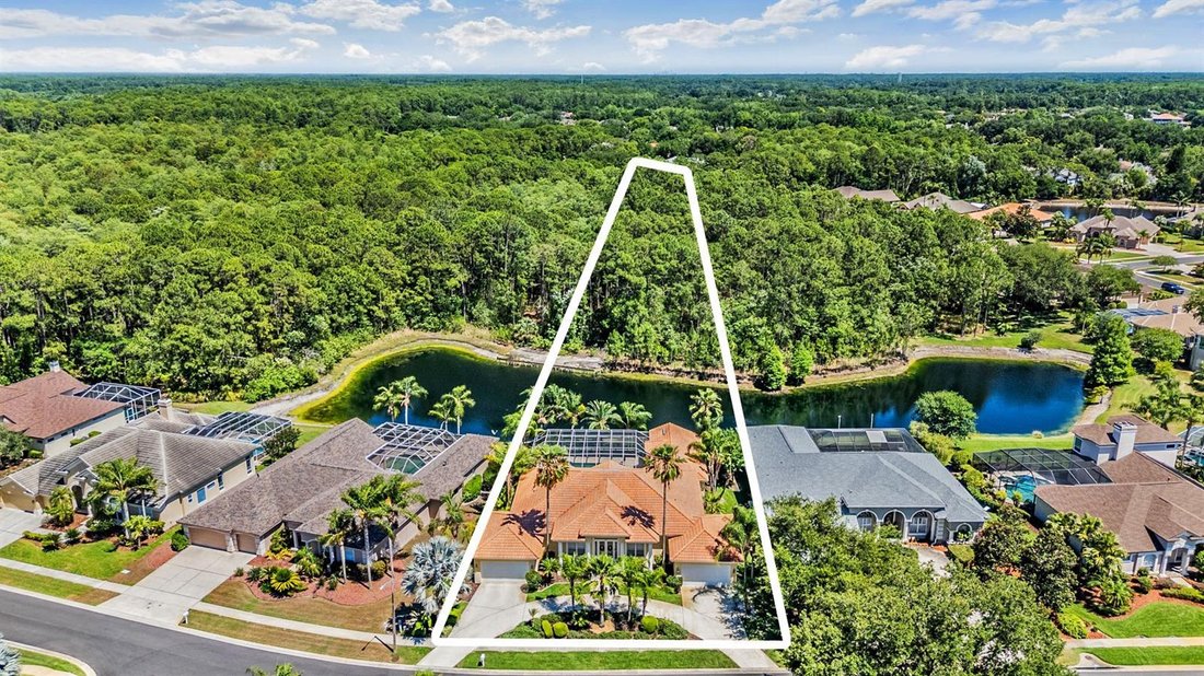 House in Palm Harbor, Florida, United States 1 - 17933883