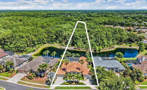 House in Palm Harbor, Florida, United States 1