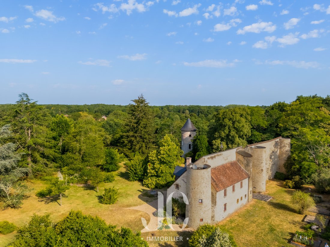 House in Villefranche-sur-Cher, Centre-Val de Loire, France 3 - 18313575