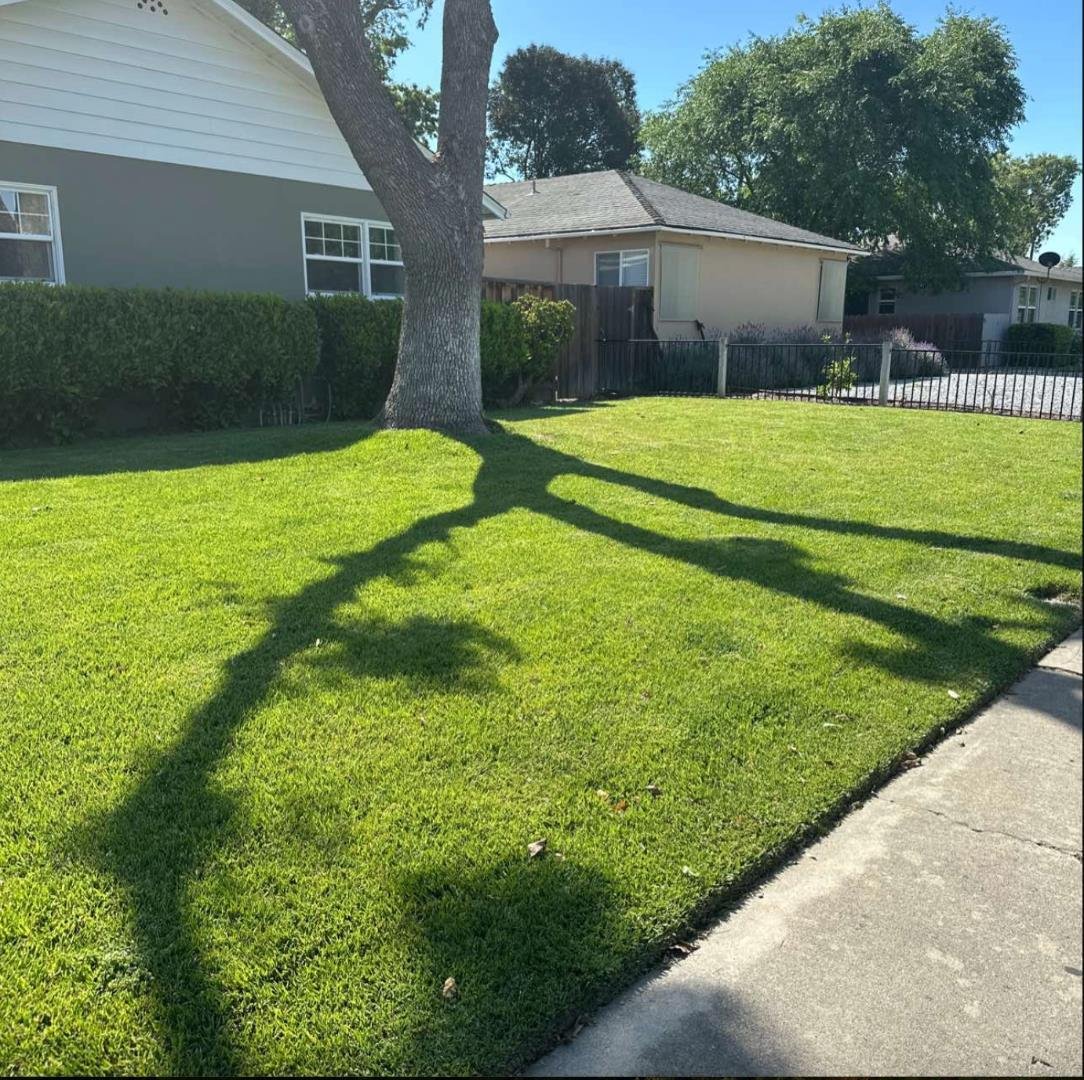 Apartment in San Jose, California, United States 2 - 18322046