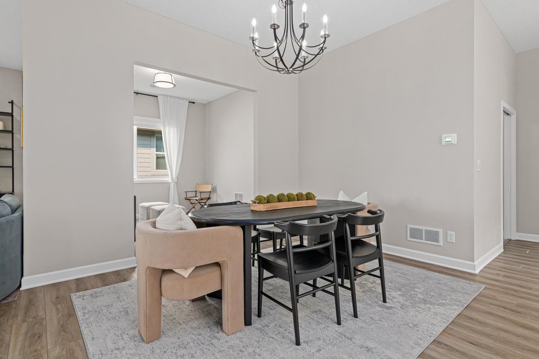 House in Lakeville, Minnesota, United States 5 - 18320456