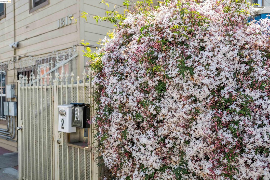House in Oakland, California, United States 4 - 18320447