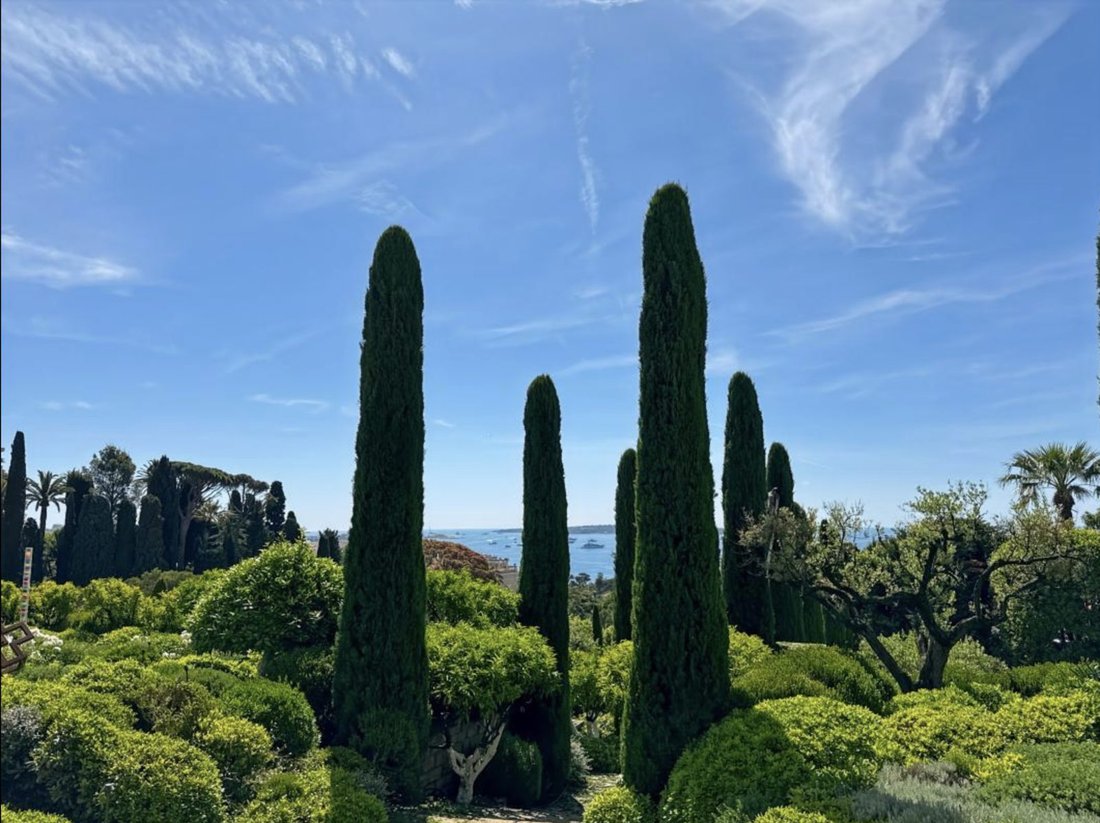 Apartment in Cannes, Provence-Alpes-Côte d'Azur, France 3 - 18319967