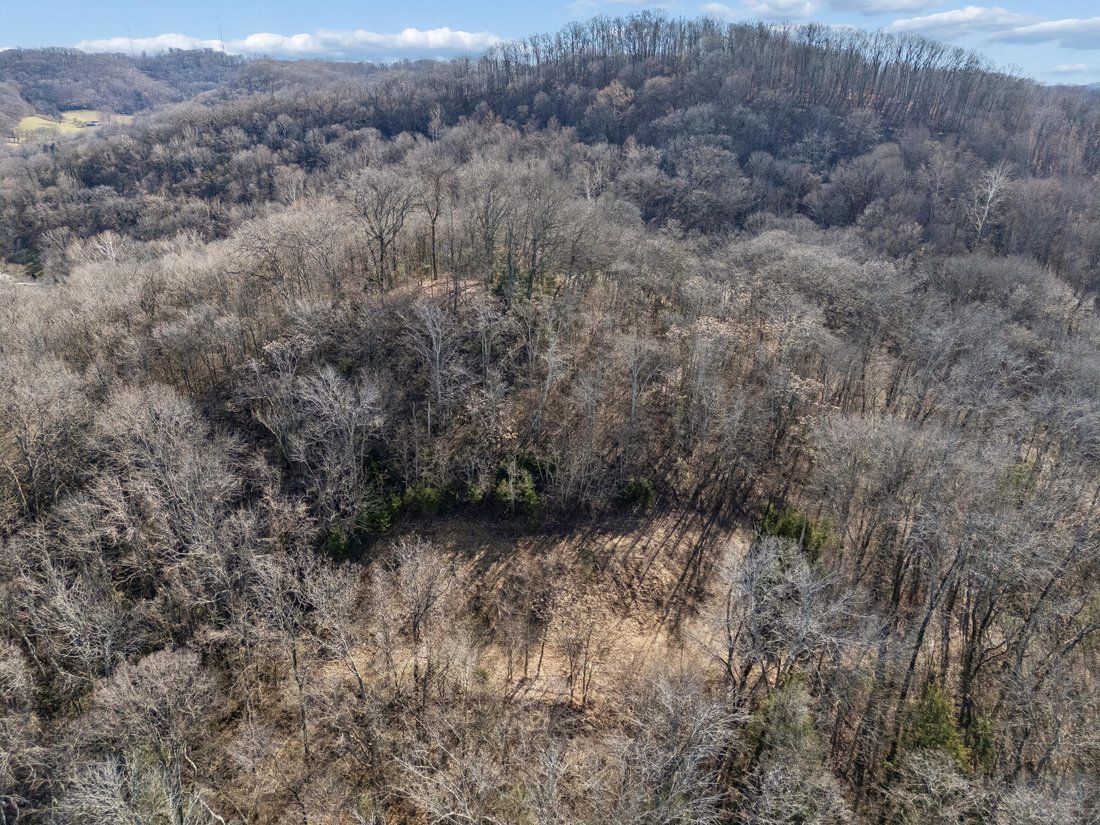Land in Franklin, Tennessee, United States 4 - 18320106