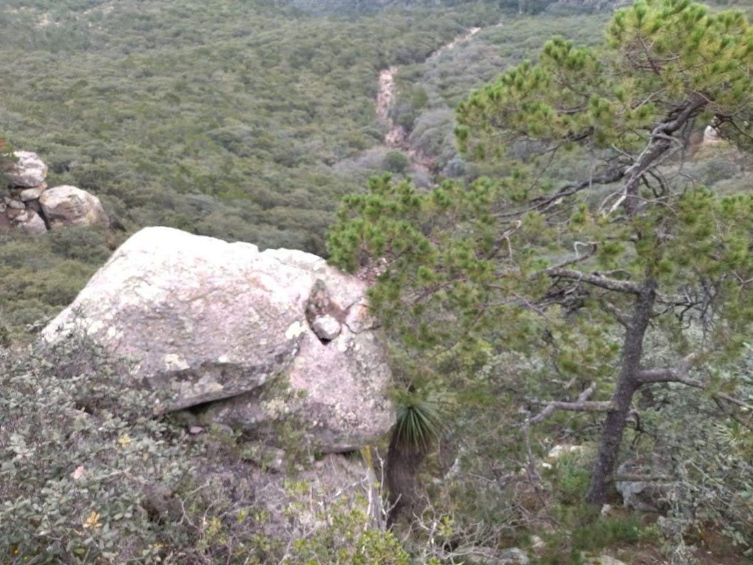 Land in Deramadero, Querétaro, Mexico 4 - 18320468