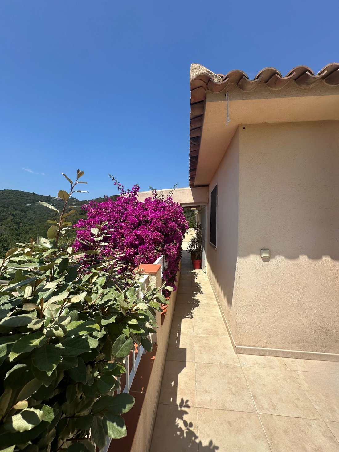 House in Porto-Vecchio, Corsica, France 5 - 18320000