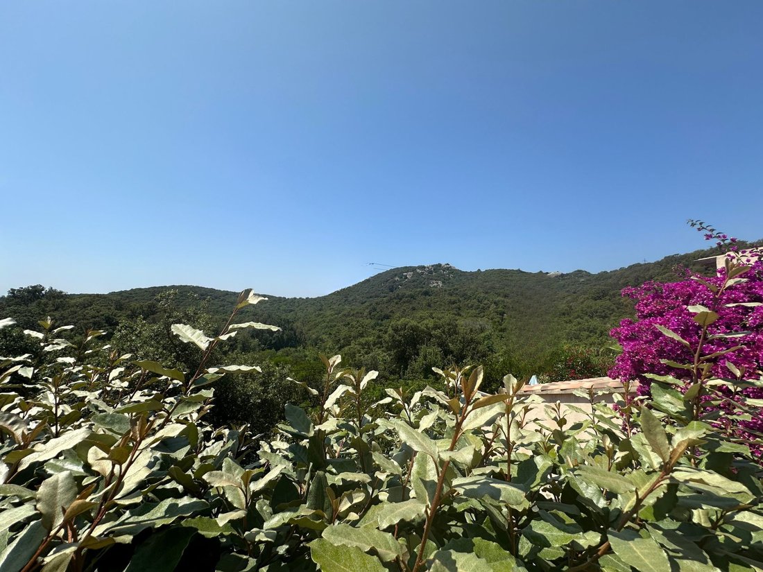 House in Porto-Vecchio, Corsica, France 1 - 18320000