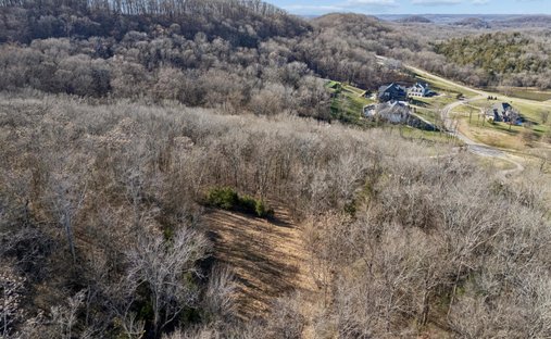 Land in Franklin, Tennessee, United States 1