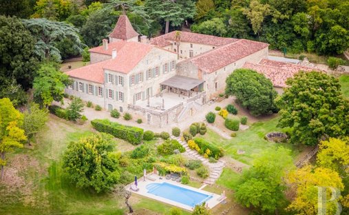 Castle in Cazeneuve, Occitania, France 1