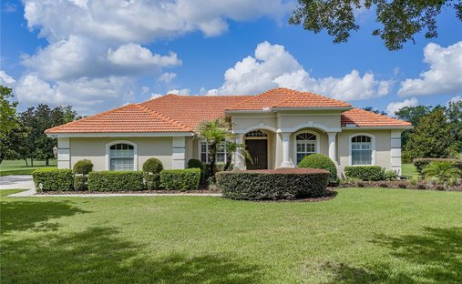 House in Lutz, Florida, United States 1