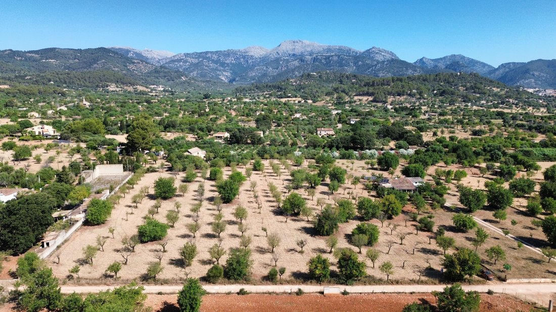 Terreno a Selva, Isole Baleari, Spagna 1 - 18320459