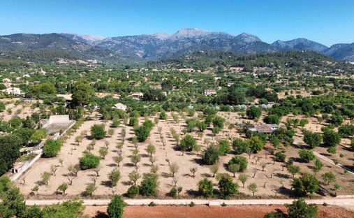 Terreno a Selva, Isole Baleari, Spagna 1