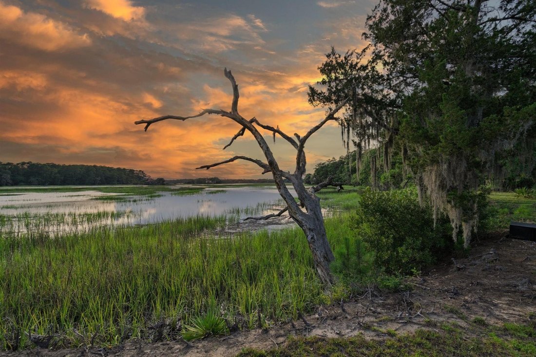 House in Edisto Island, South Carolina, United States 3 - 18323601