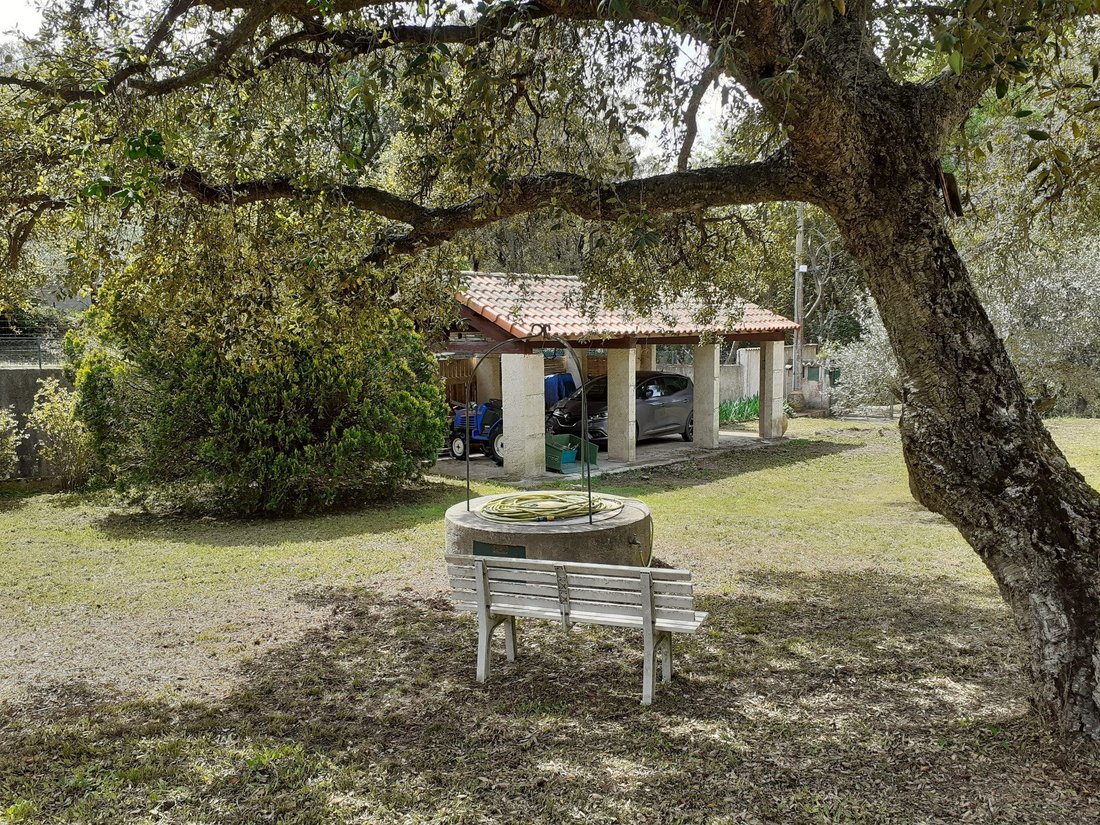 Villa in Six-Fours-les-Plages, Provence-Alpes-Côte d'Azur, France 4 - 18323732