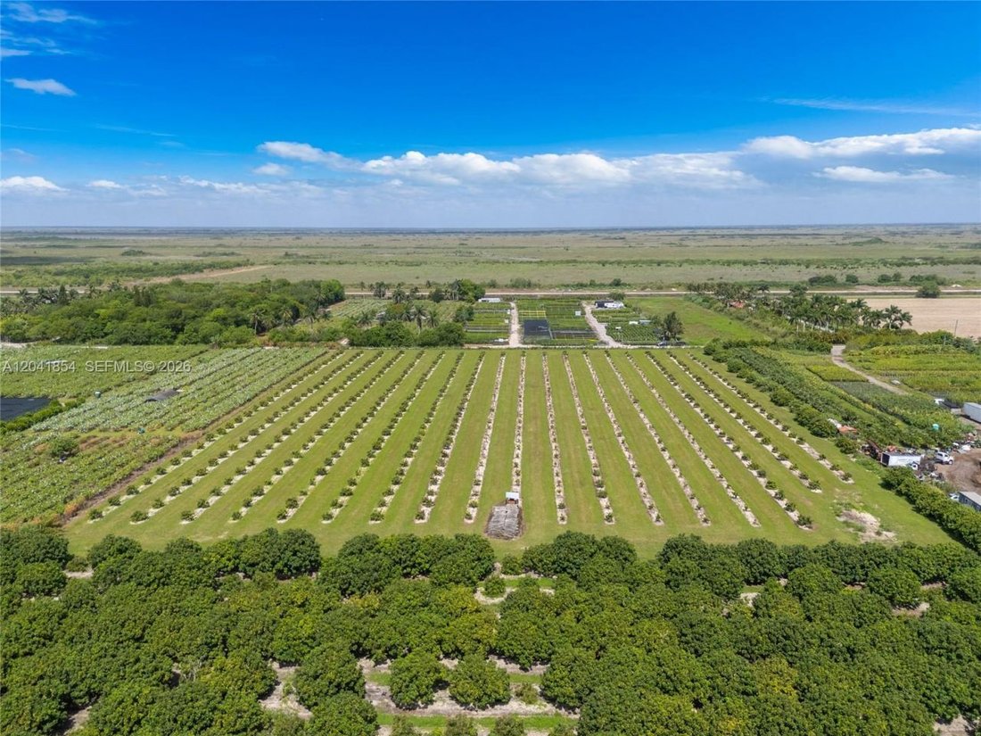 Land in Homestead, Florida, United States 4 - 18323608